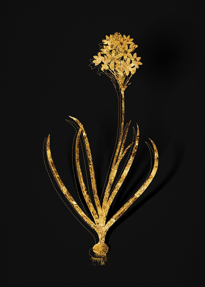 Gold Flora on Black
