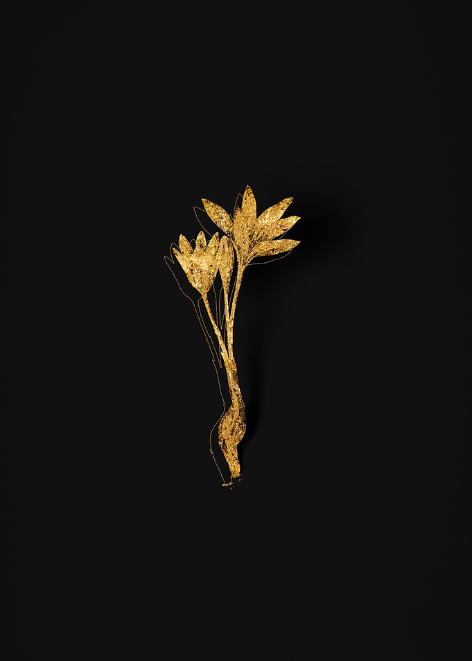 Gold Flora on Black