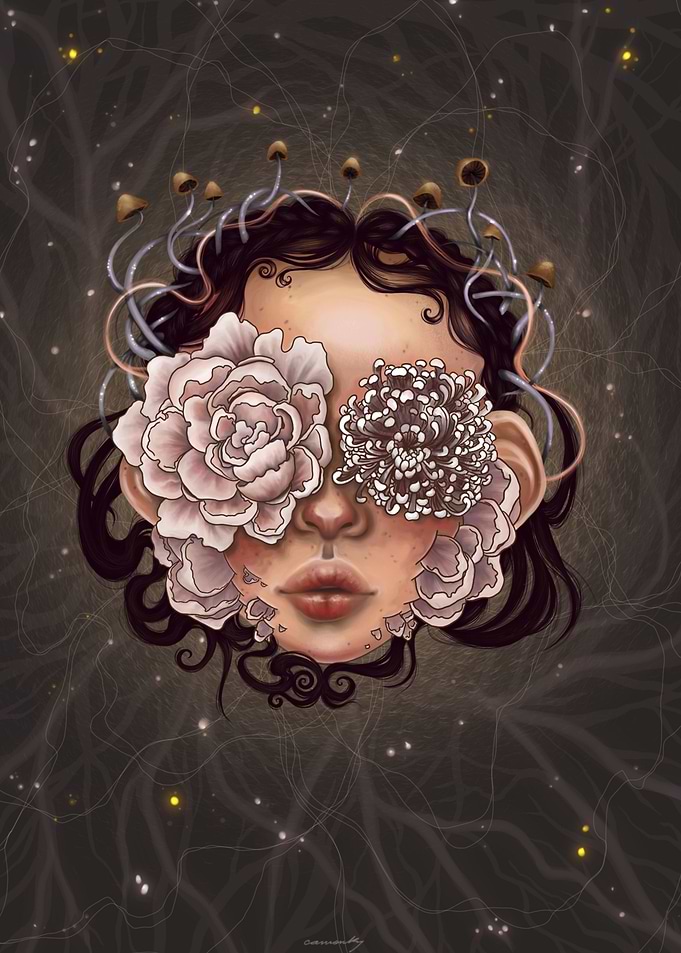 Blossom Shrooms