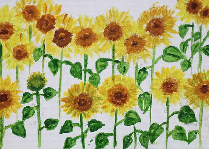 Sunflowers