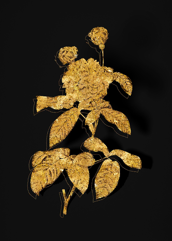 Gold Flora on Black