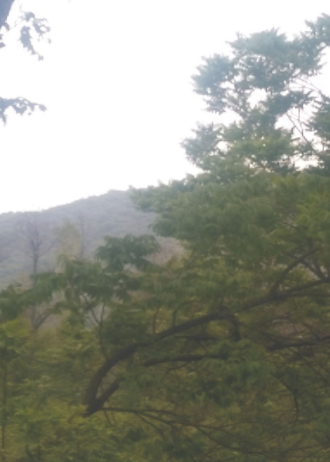 Among Hills