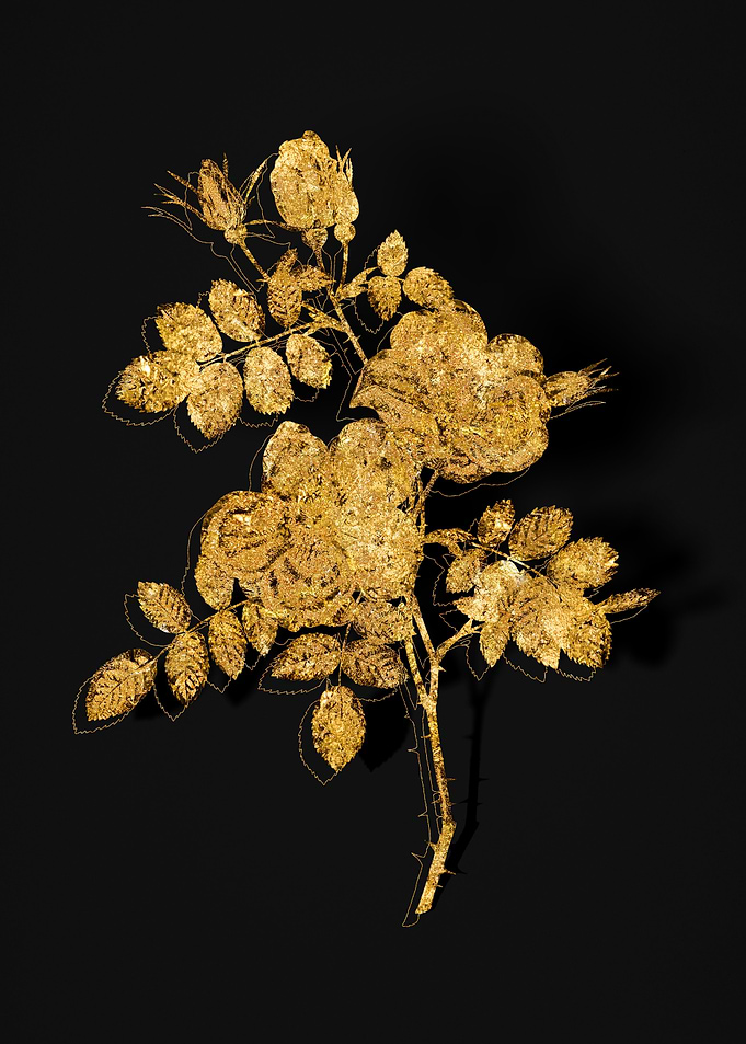 Gold Flora on Black