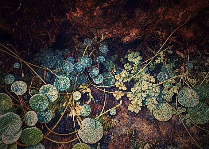 Between the stones