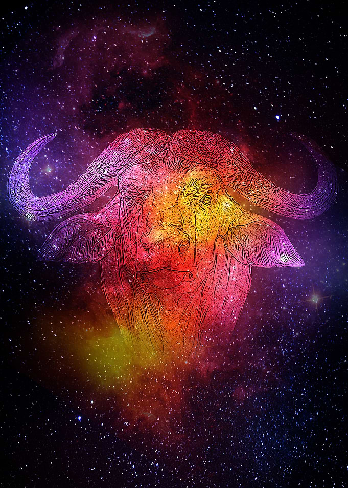 Taurus Zodiac
