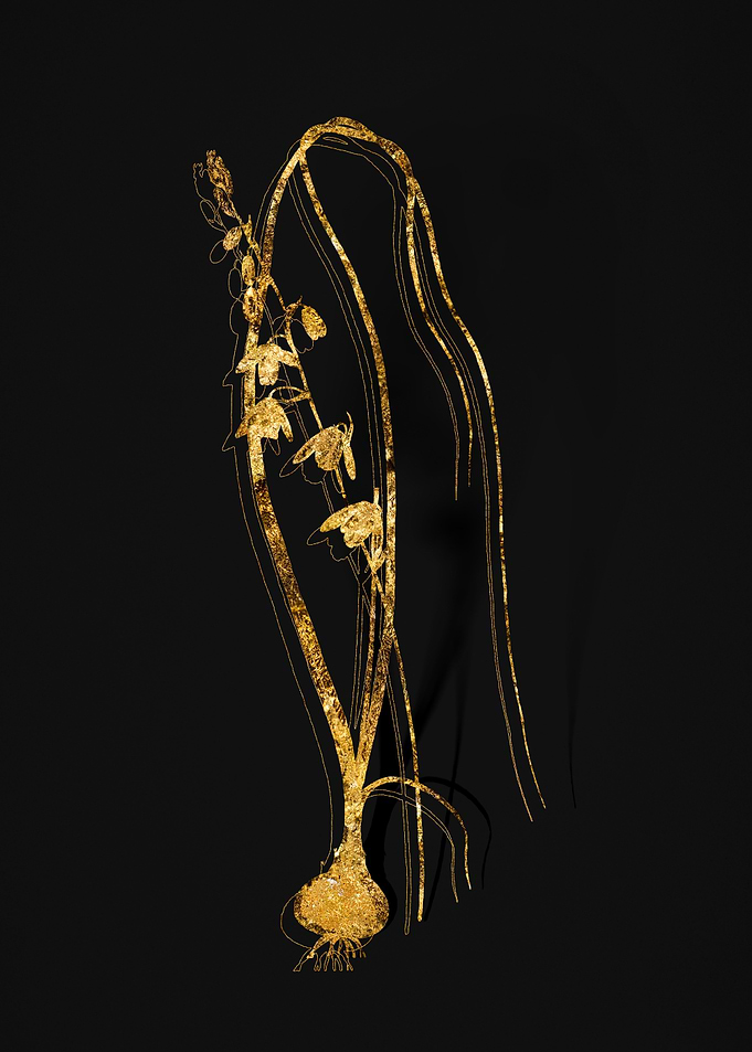 Gold Flora on Black