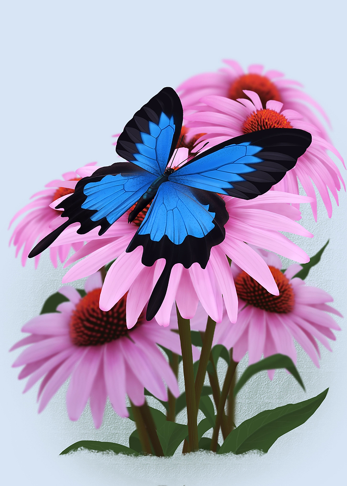 Butterfly Garden