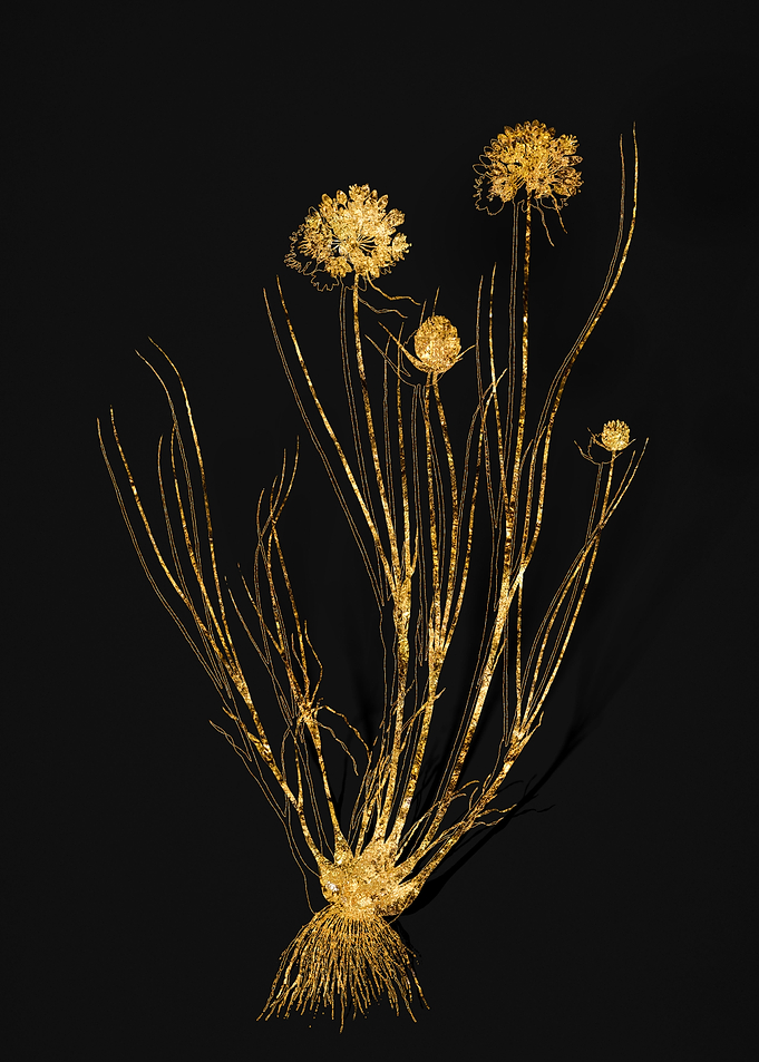 Gold Flora on Black