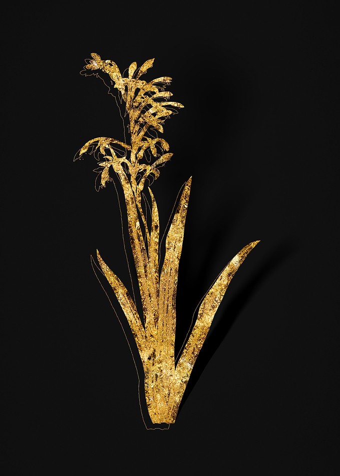 Gold Flora on Black