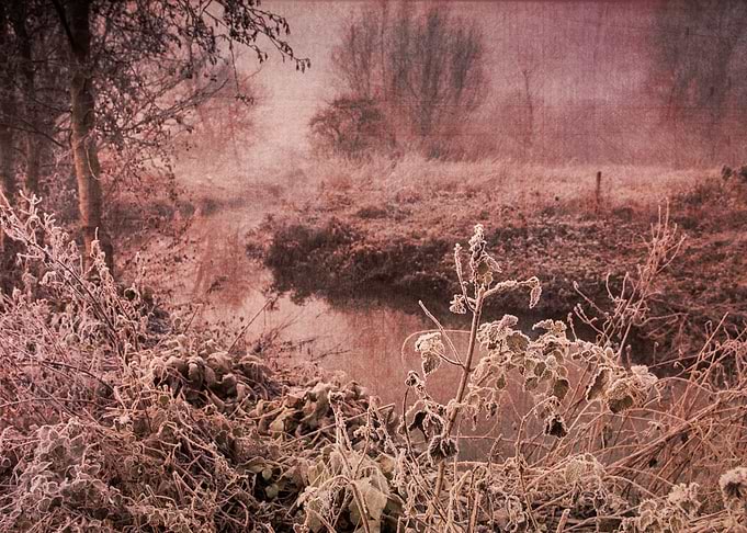 Winters Tale