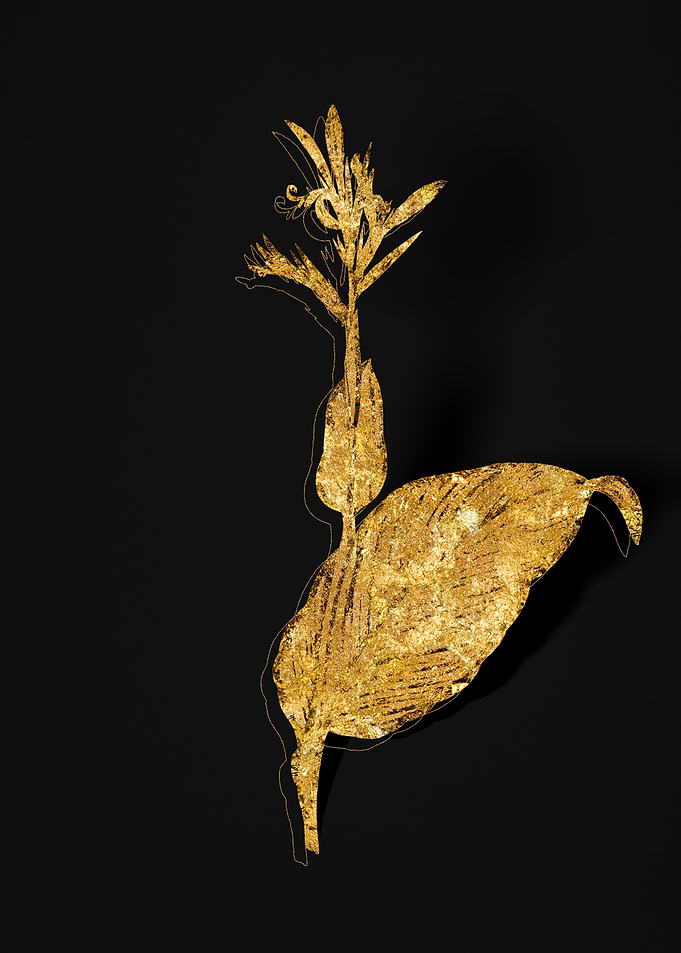 Gold Flora on Black