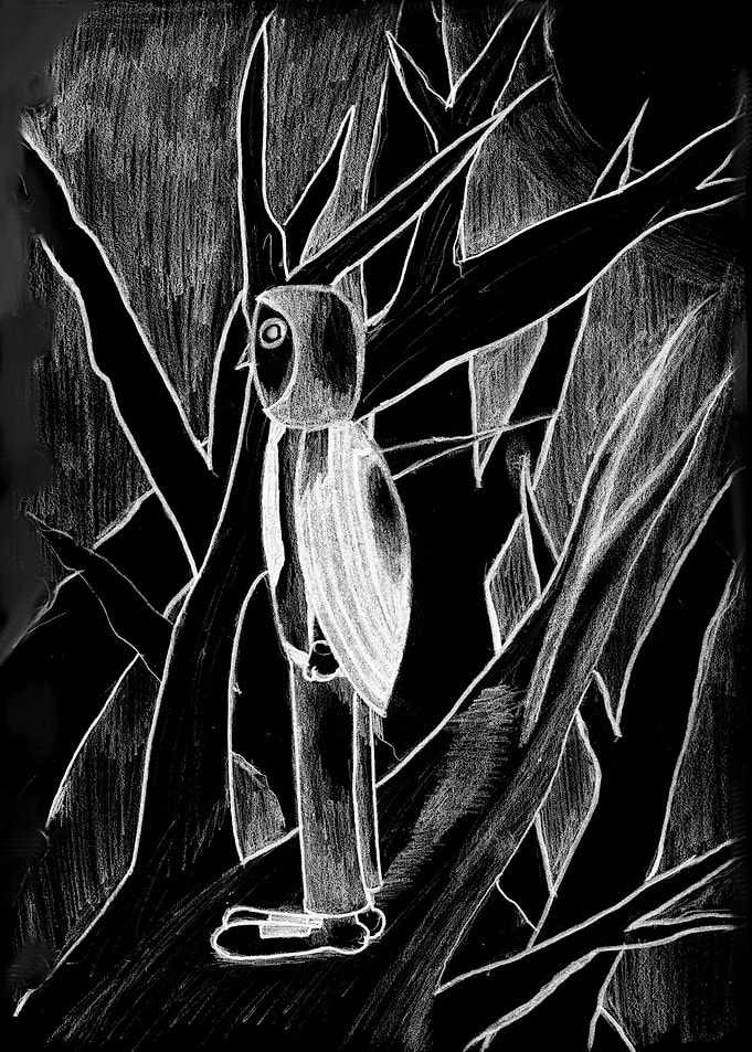 Wandering Owl