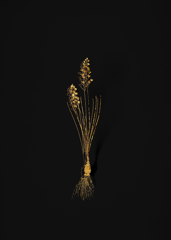 Gold Flora on Black