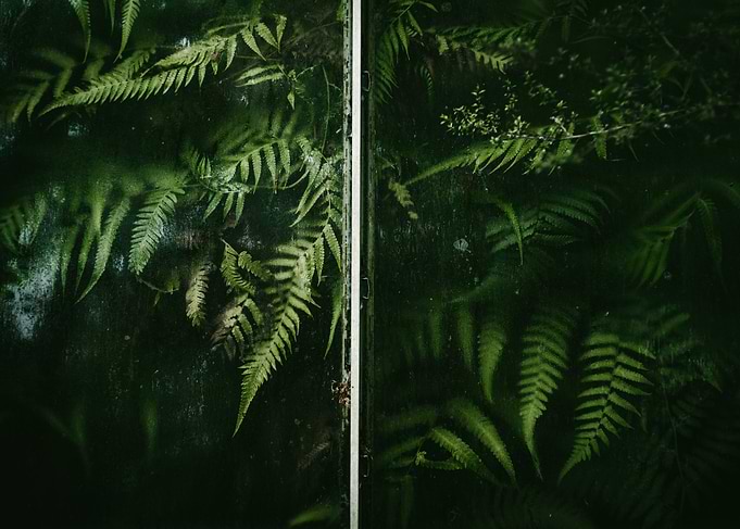 Botanical
