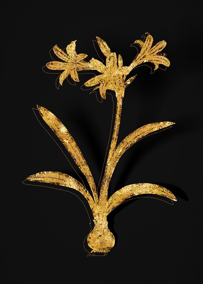 Gold Flora on Black