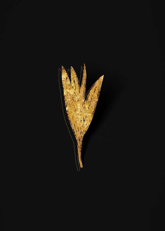 Gold Flora on Black