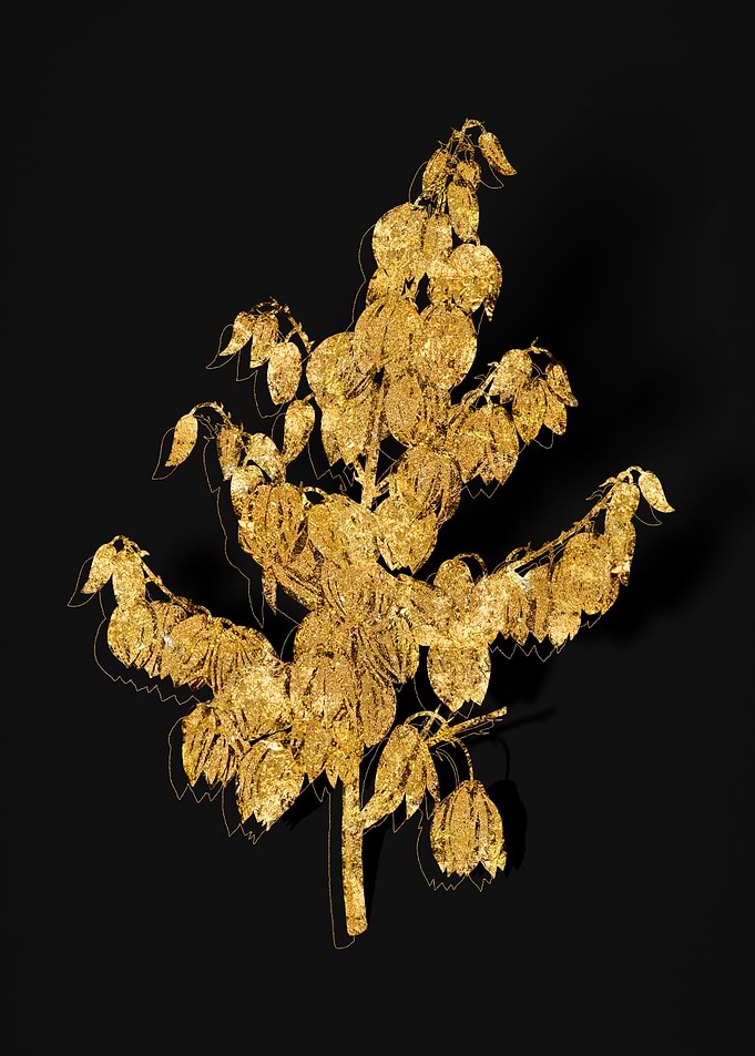 Gold Flora on Black
