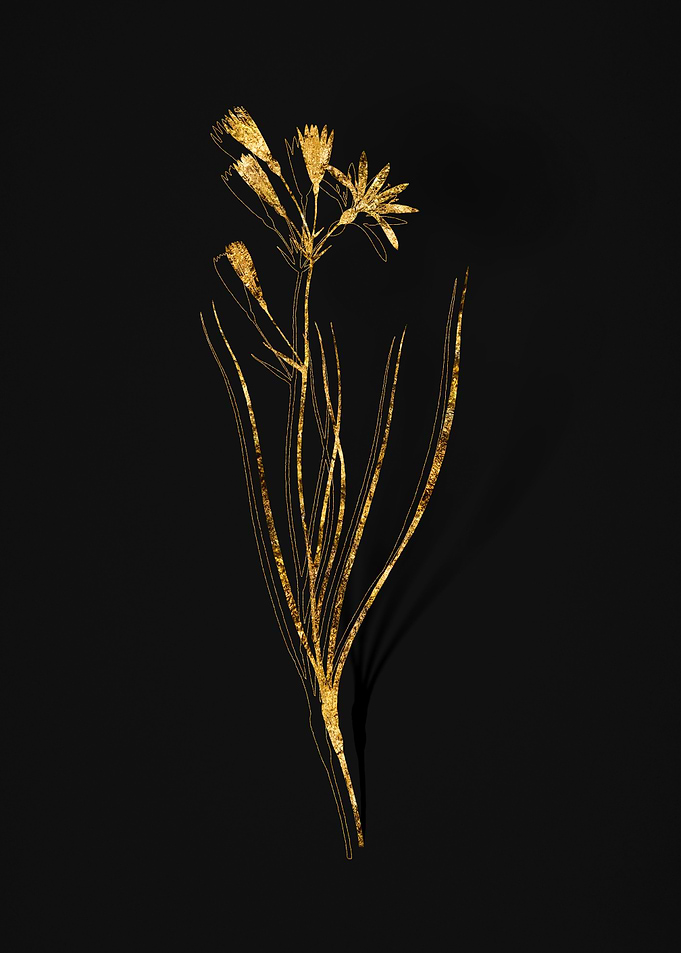 Gold Flora on Black