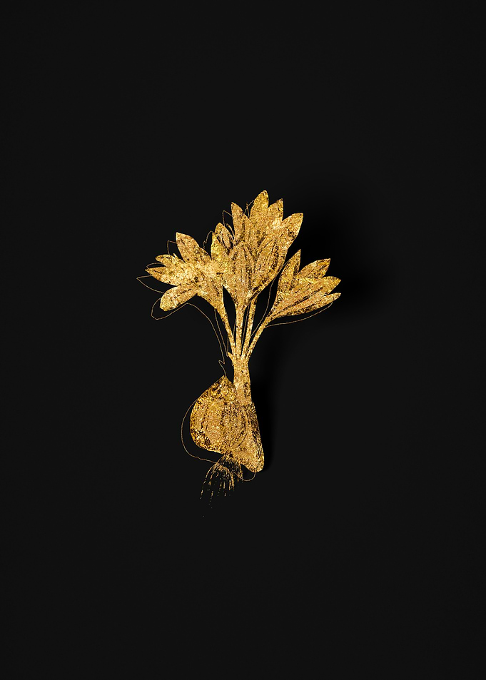 Gold Flora on Black
