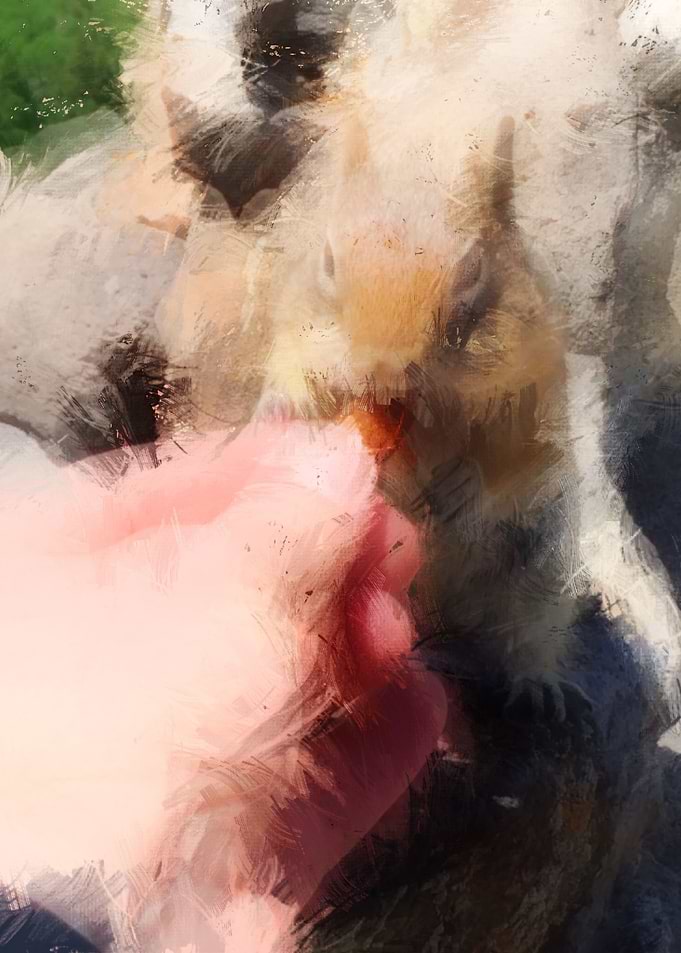 Squirrel Takes Nut