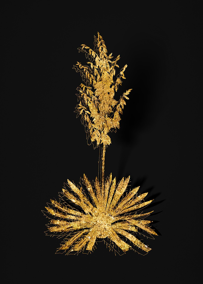 Gold Flora on Black