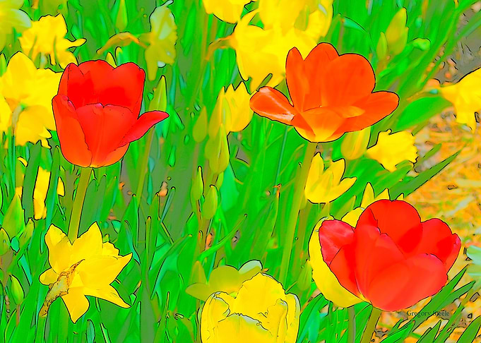 Etched Tulips 4