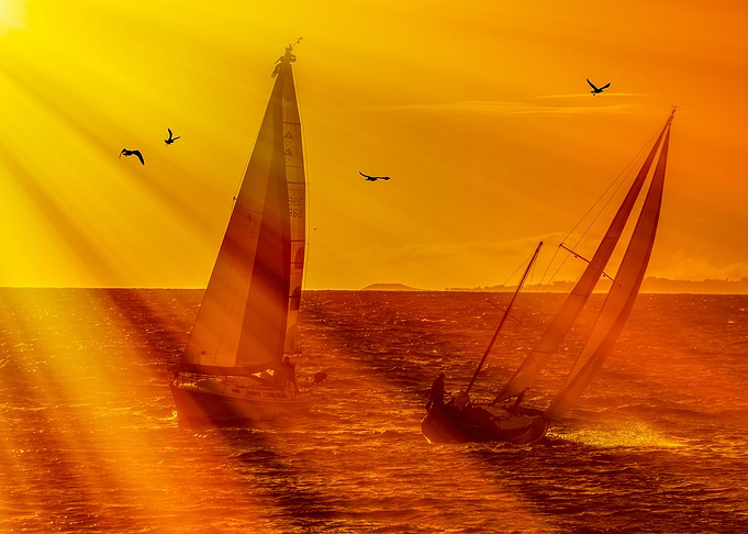 Orange dream