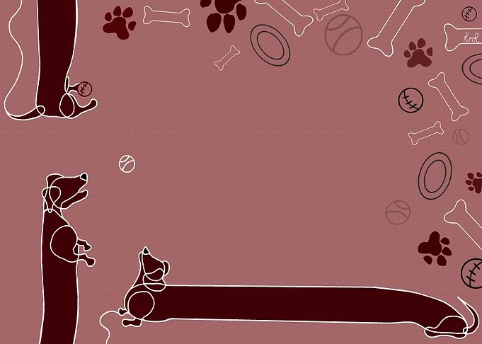 Dachshund Illustration 02
