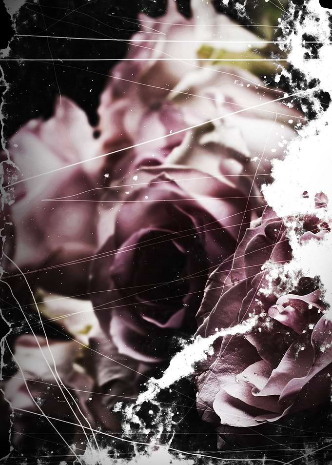Faded flowers 4