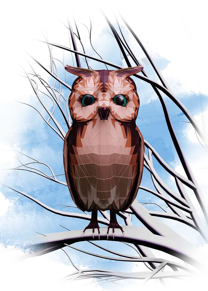 Owl