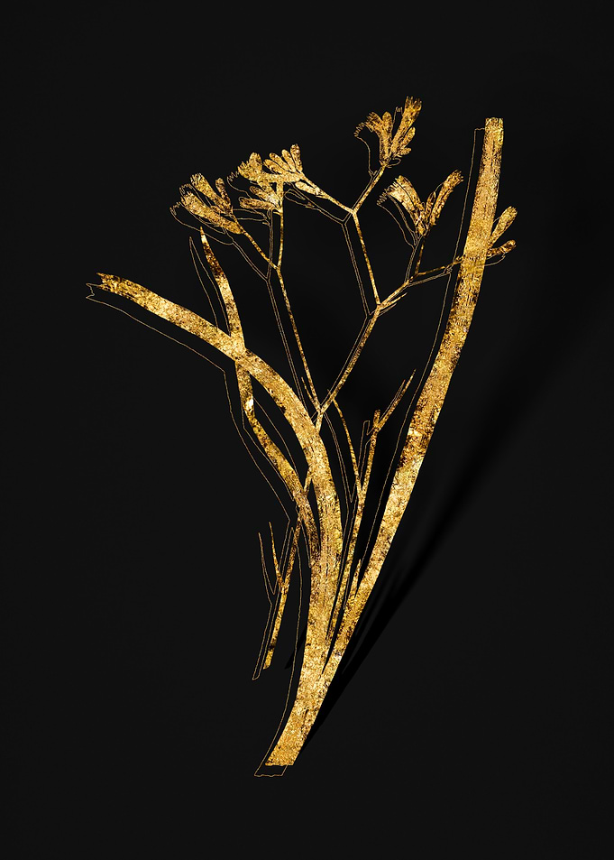 Gold Flora on Black