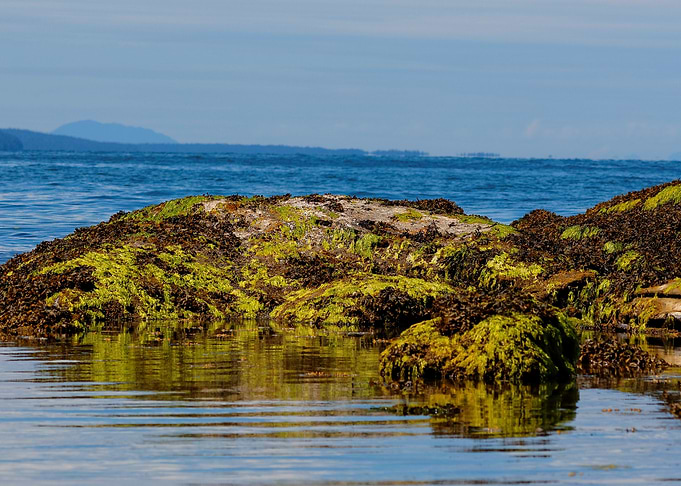 Beach on Galiano Island