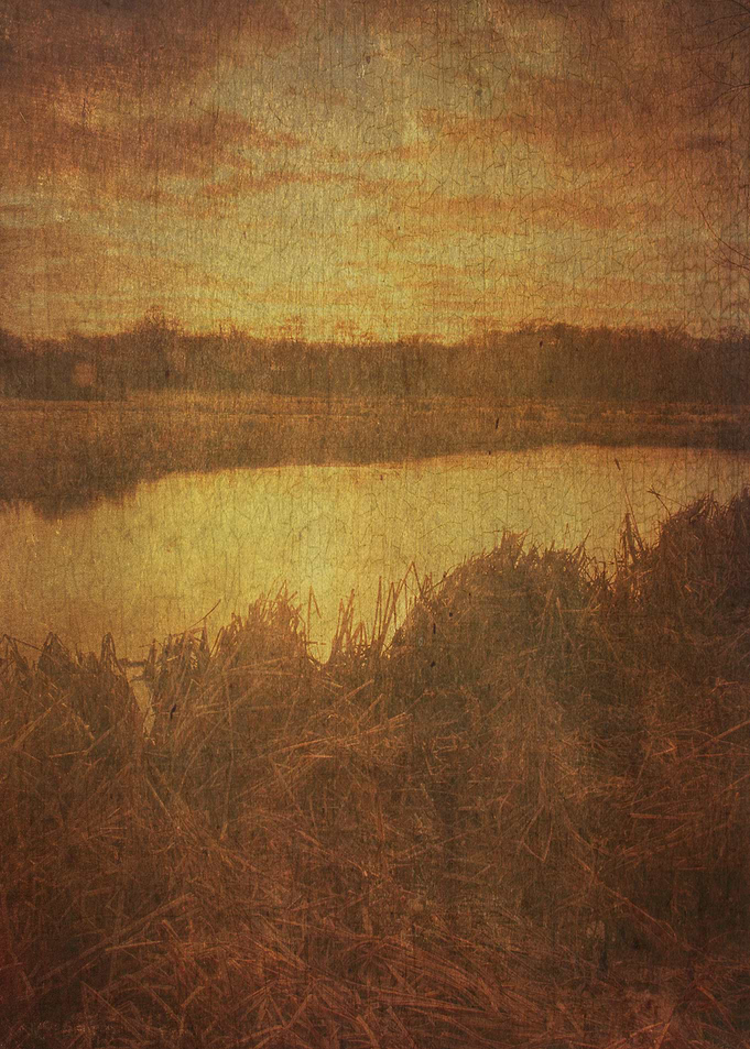 Evening Reflections
