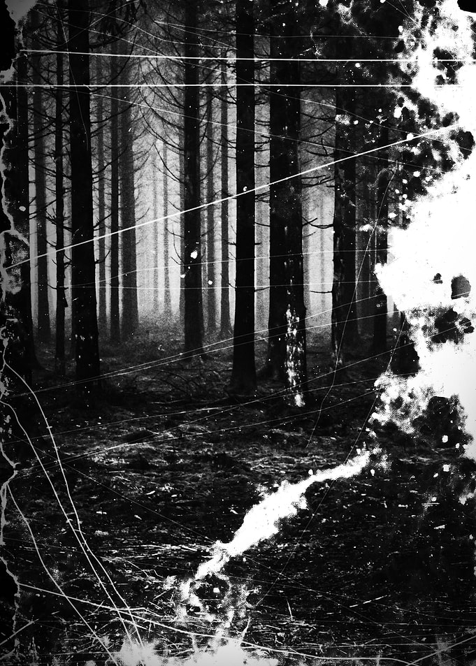 Faded forest