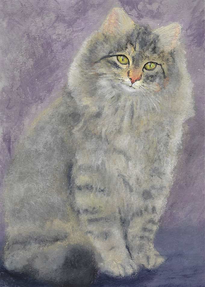 Misty the Cat