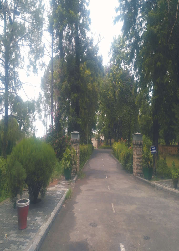 Among Hills