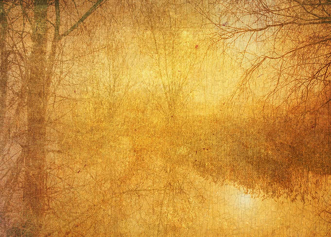 Golden Morning