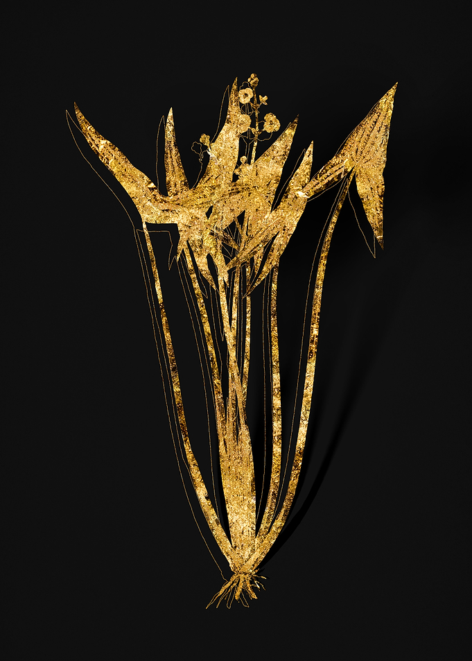 Gold Flora on Black