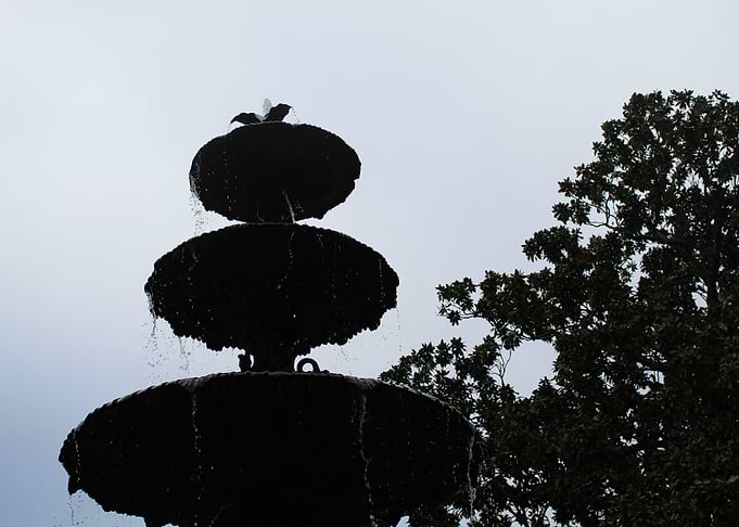 Fountains In Motion