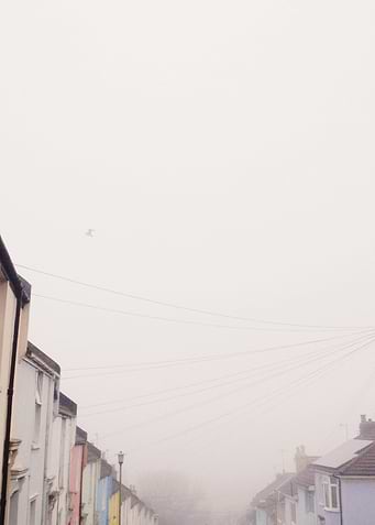 The Fog