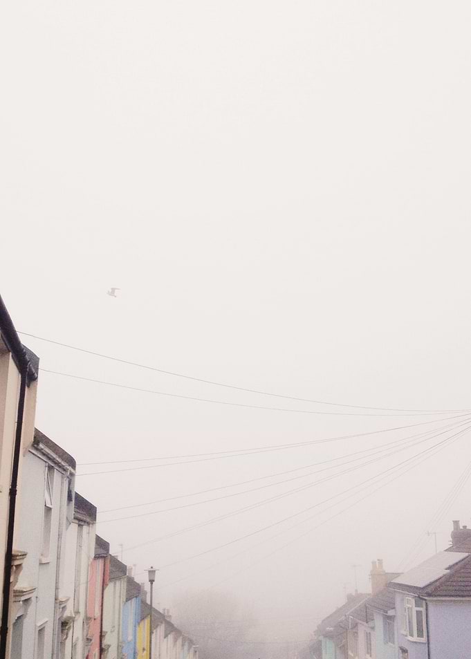 The Fog
