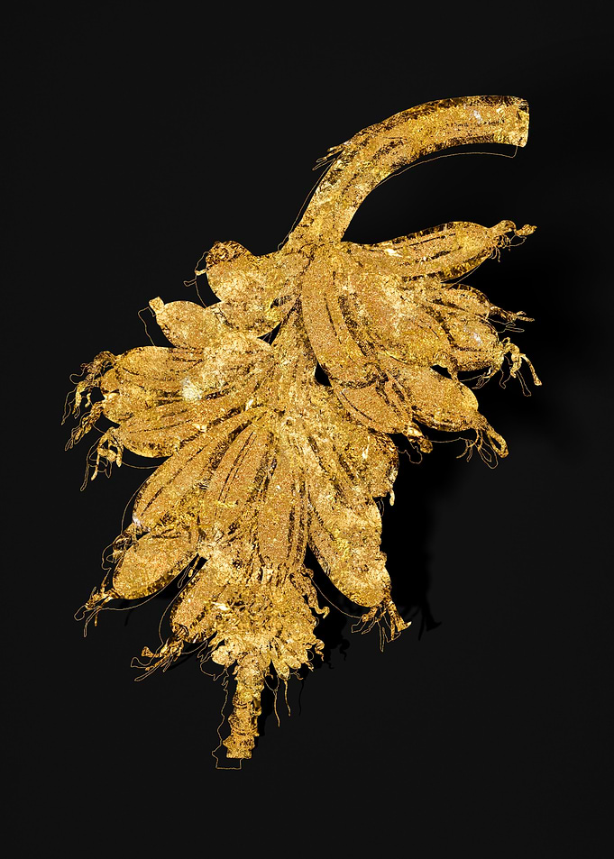 Gold Flora on Black