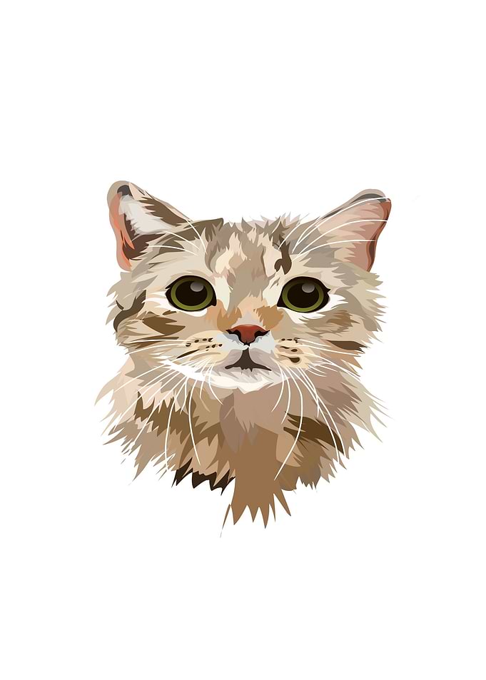 KITTENS VECTOR ART