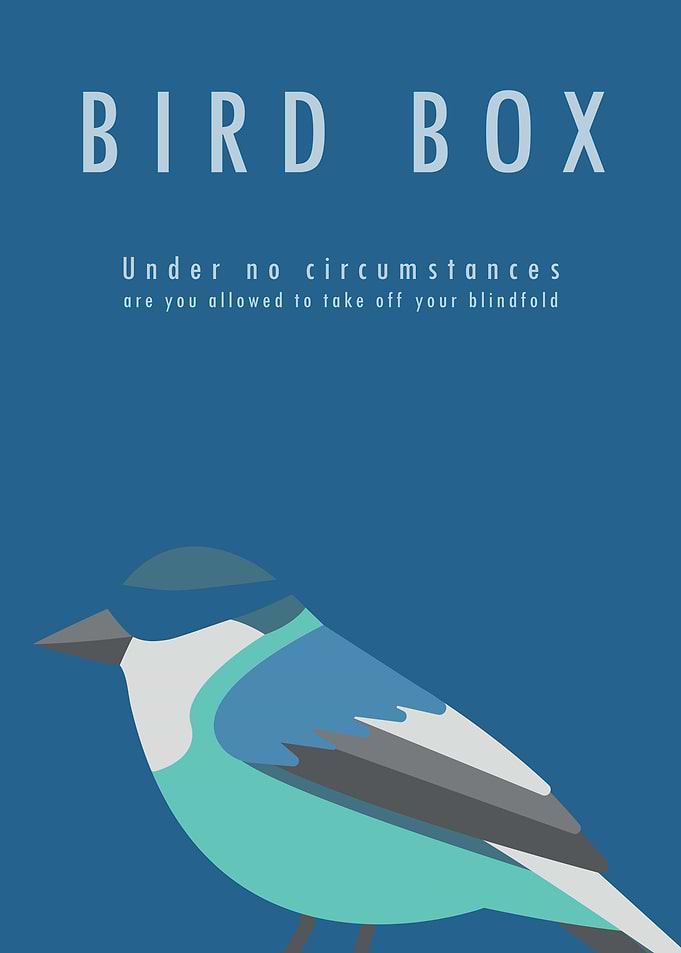 Bird Box