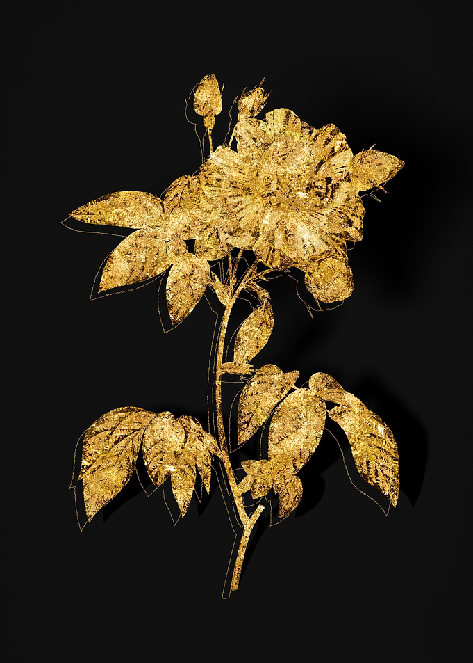 Gold Flora on Black