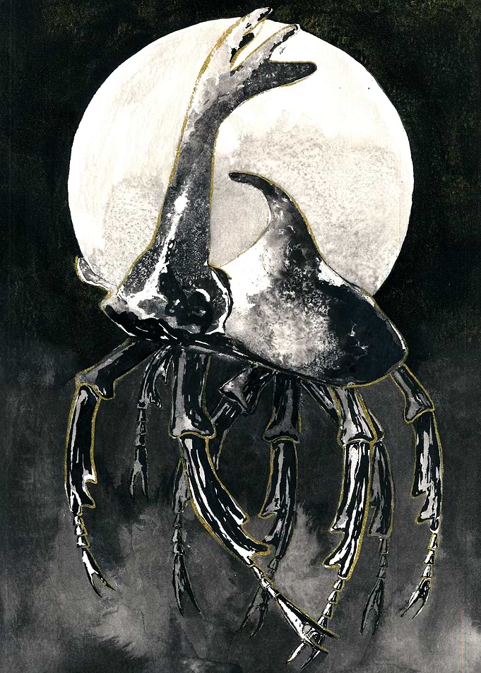 Beetle