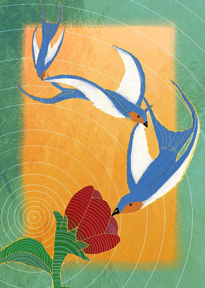 pajaros y fauna