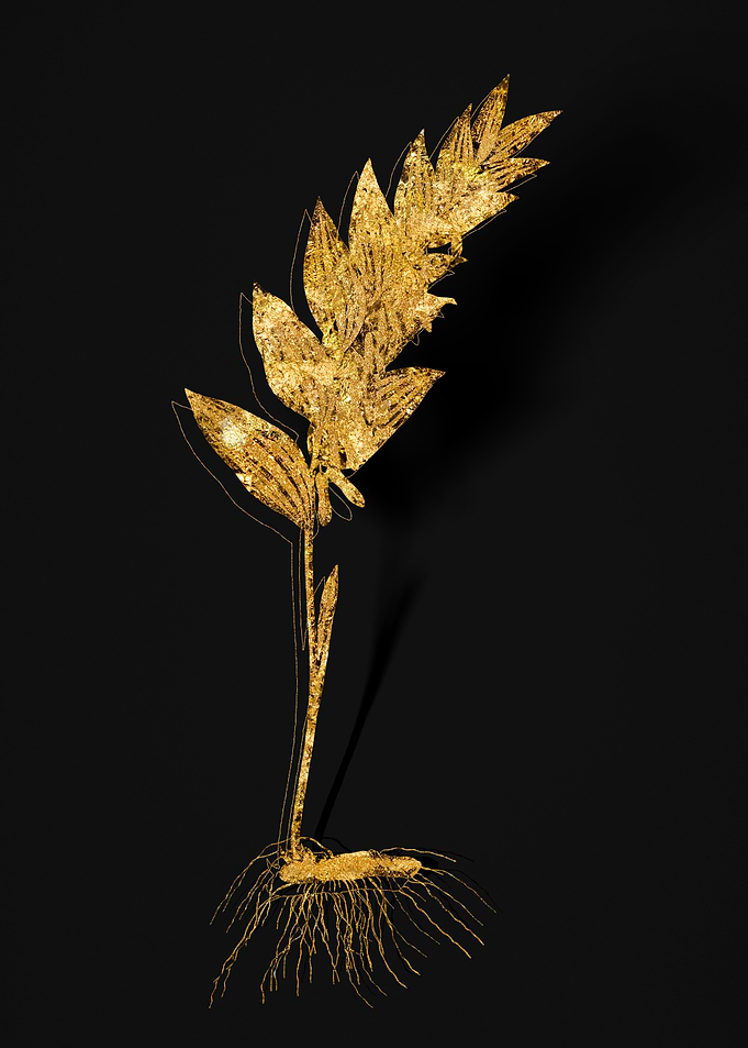 Gold Flora on Black