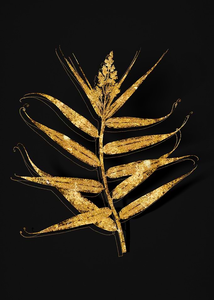 Gold Flora on Black
