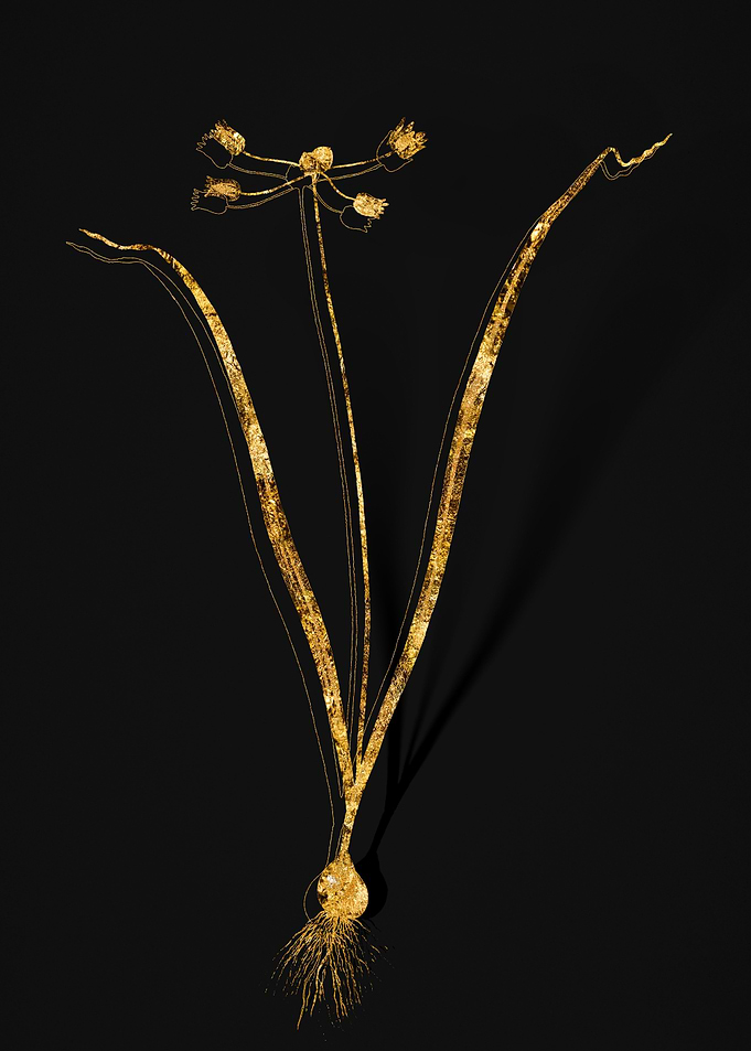 Gold Flora on Black
